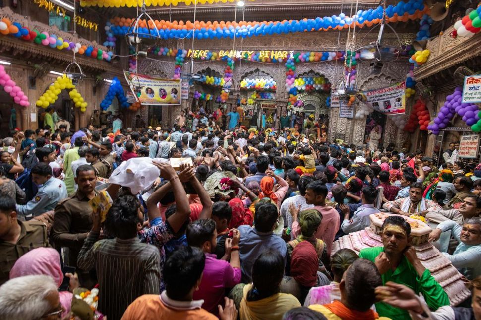 2023 Vrindavan (Phoolwalon Ki Holi Bankey Bihari Temple, Rangbhari Ekadashi Holi) and Mathura Holi, India