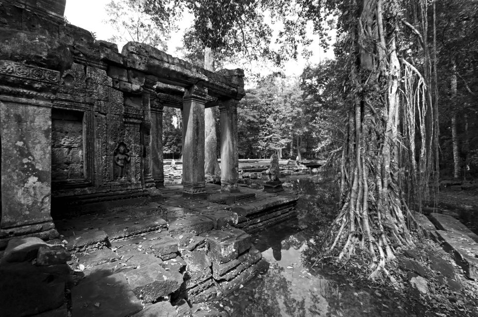 Cambodia - Siem Reap (Angkor Wat)