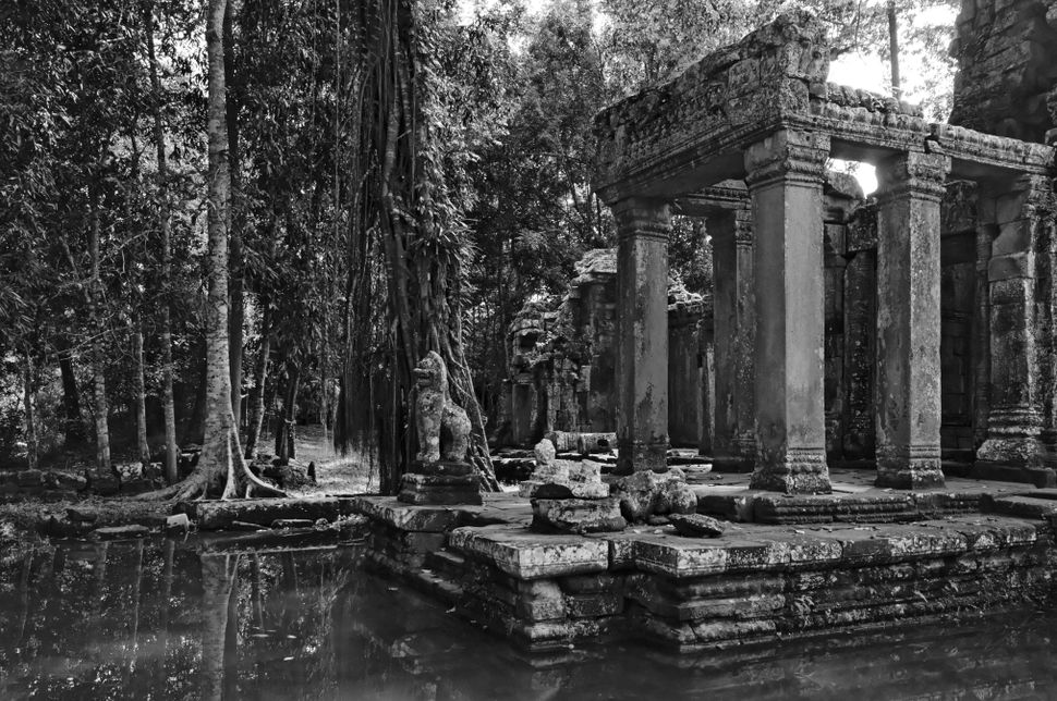 Cambodia - Siem Reap (Angkor Wat)