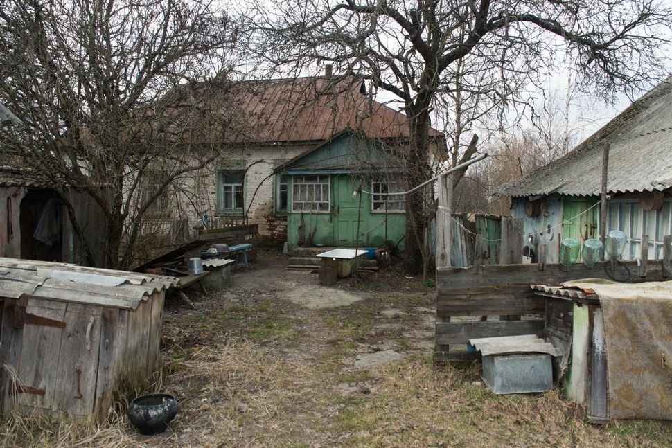 Chernobyl - life in the "zone"