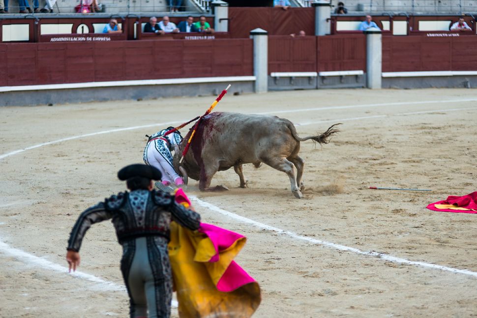 Jesus Duque - torero down 2
