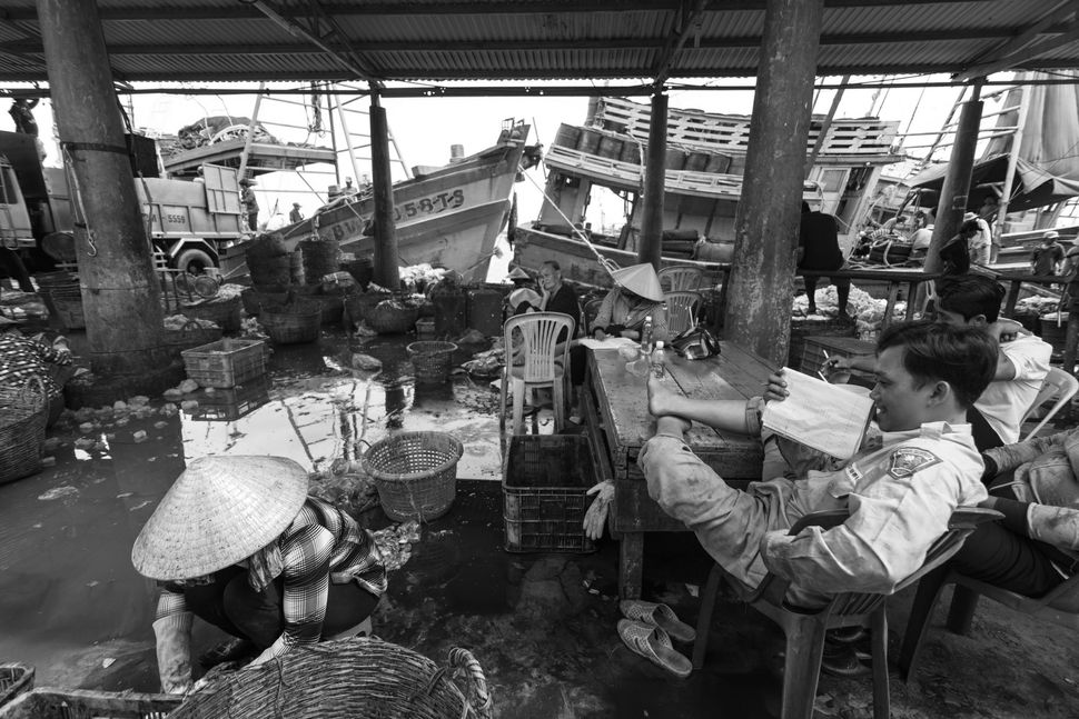Fish market in Vung Tau 1