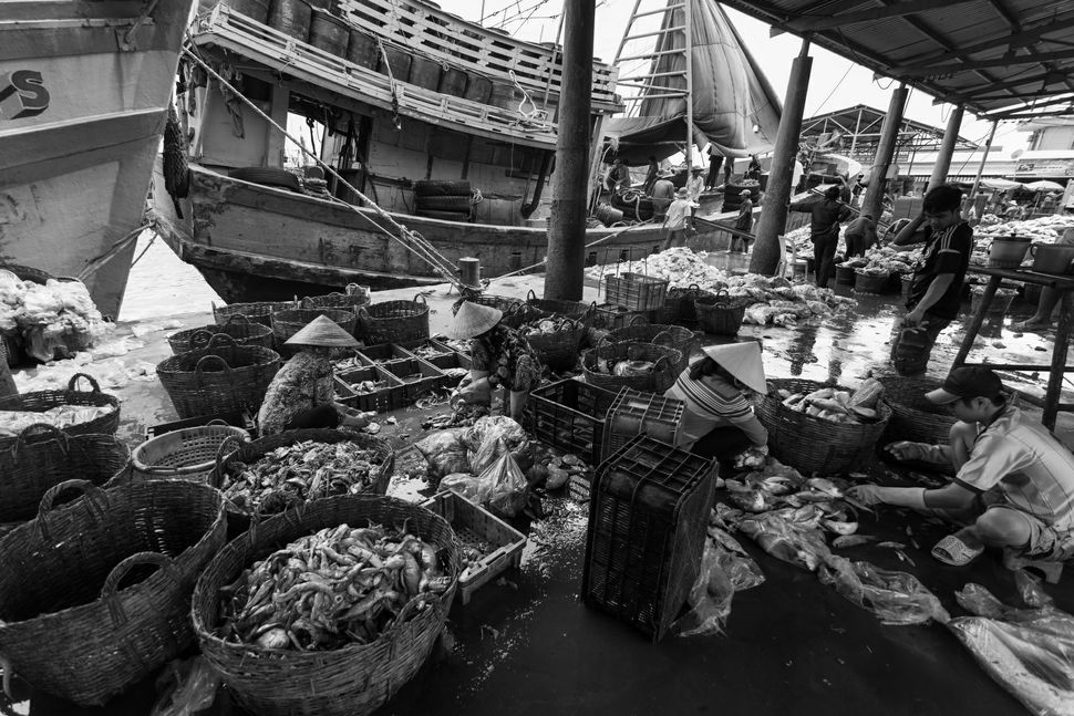 Fish market in Vung Tau 2