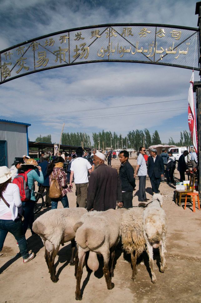 Cattle market, Kashgar