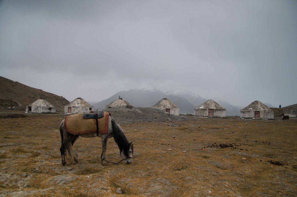 Horse and yurts at Lake Karakul