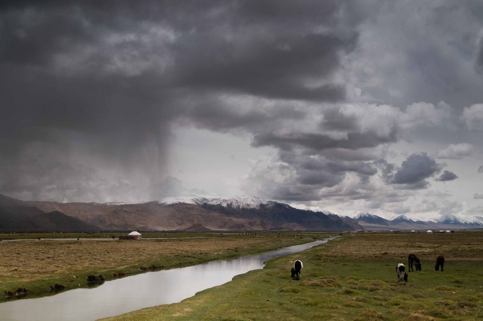Sheep grazing near Tashkurgan, storm clouds 2