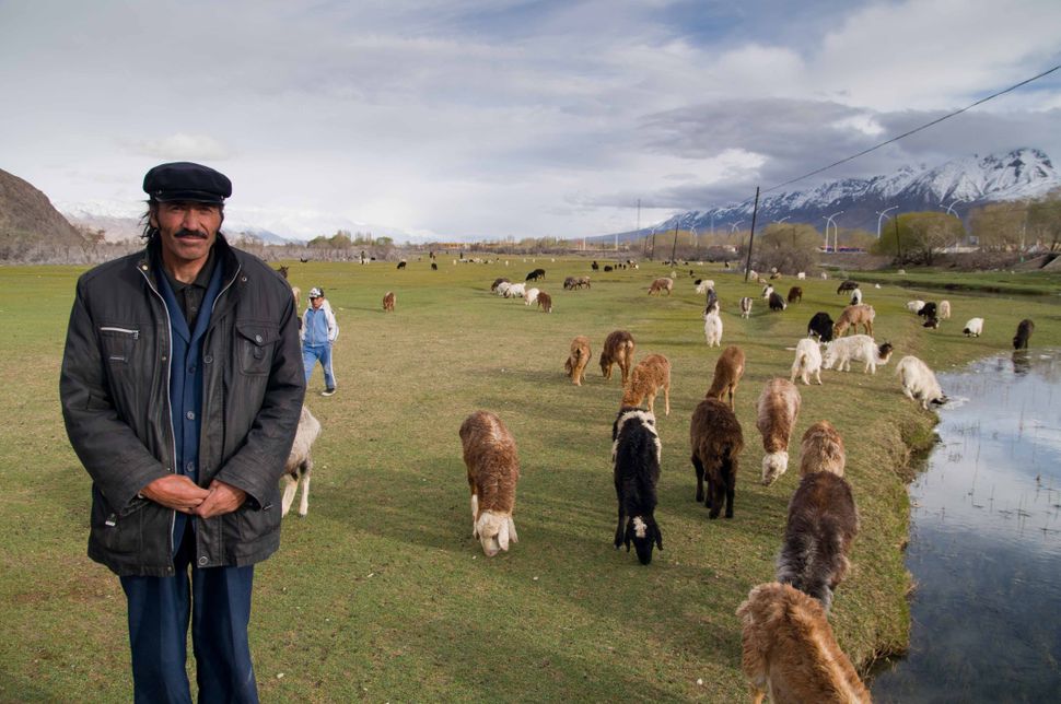 Tajik shepherd, Tashkurgan, 2