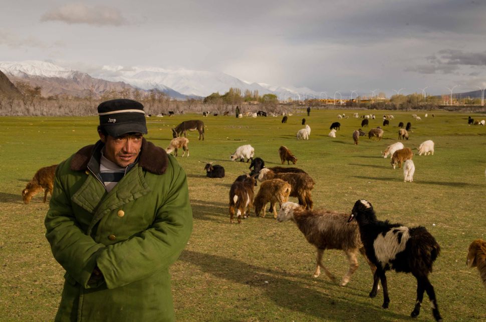 Tajik shepherd, Tashkurgan