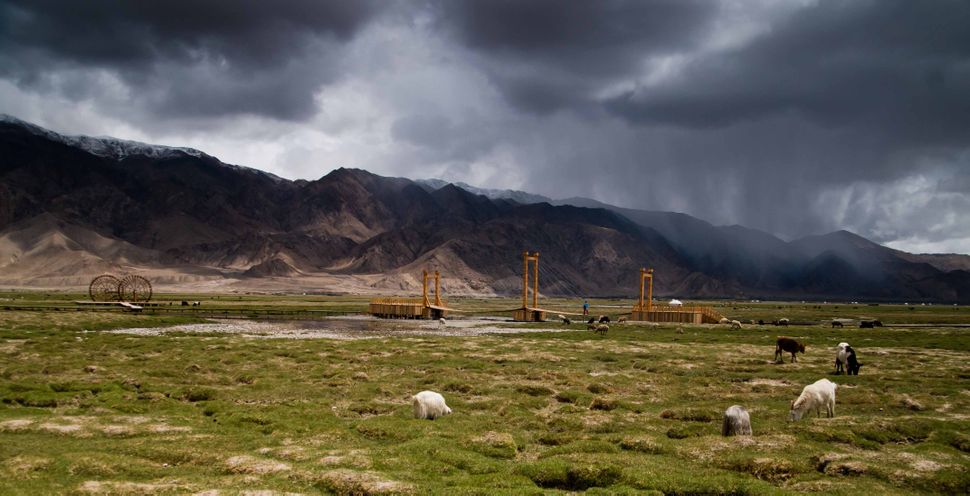 Tashkurgan Grassland 2