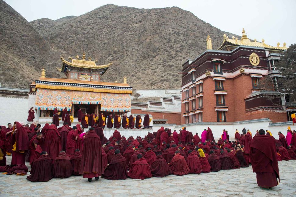 Monlam - Tibetan New Year 2018; Labrang monastery, Gansu, China