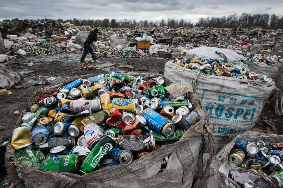 Novosibirsk landfills