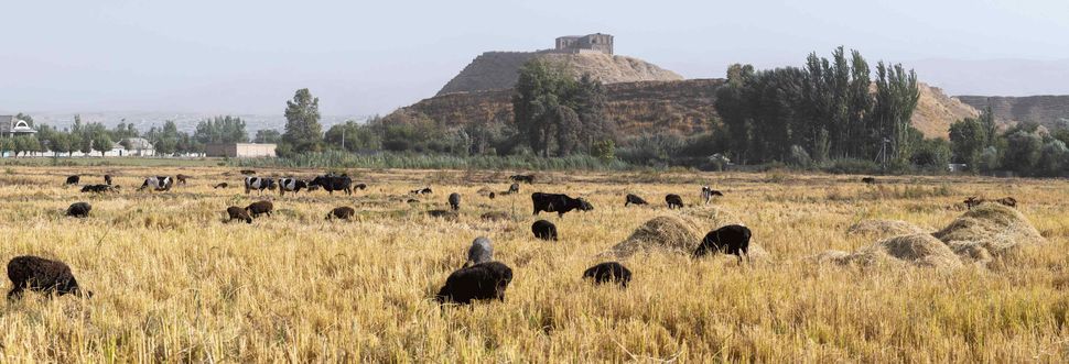 Hisar fortress, near Dushanbe