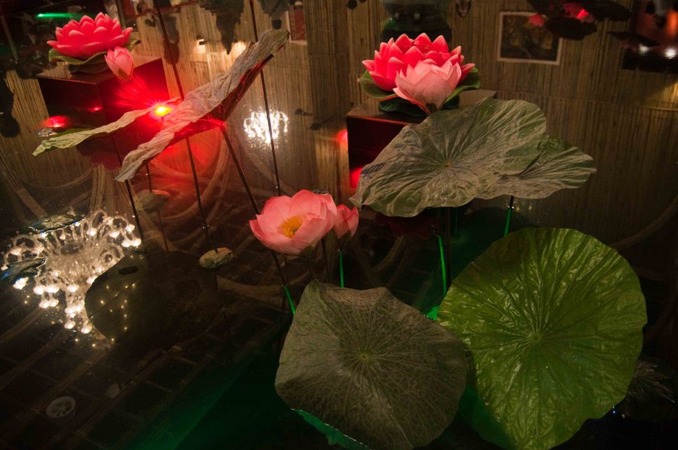 Vietnam Pavilion - Lotuses and reflections in the water