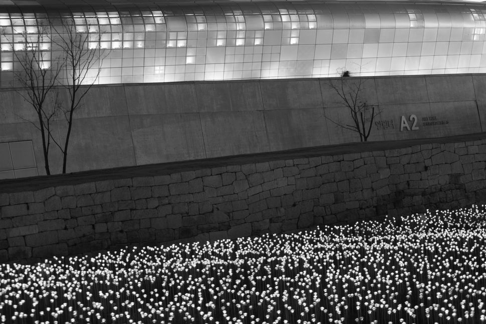 Zaha Hadid´s Dongdaemun Design Plaza