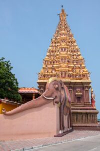 Portfolio image